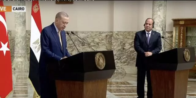 Recep Tayyip Erdogan, Abdel-Fattah al-Sissi