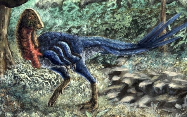Eoneophron infernalis, nou dinozaur descoperit