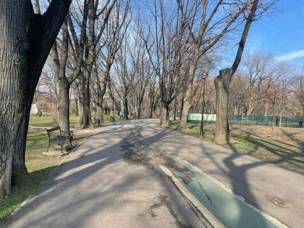 Alei, asfalt crăpat. Parcul Regele Mihai I (Herăstrău). 
