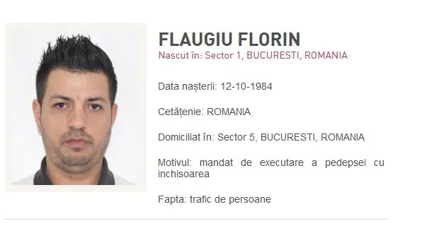 flaugiu florin, most wanted