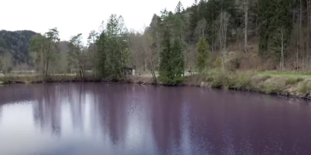 Lac violet Germania