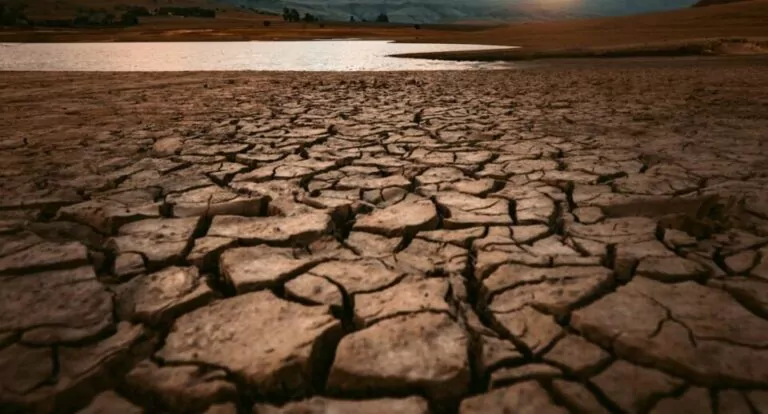 seceta, pamant uscat, agricultori, lipsa apa, schimbari climatice